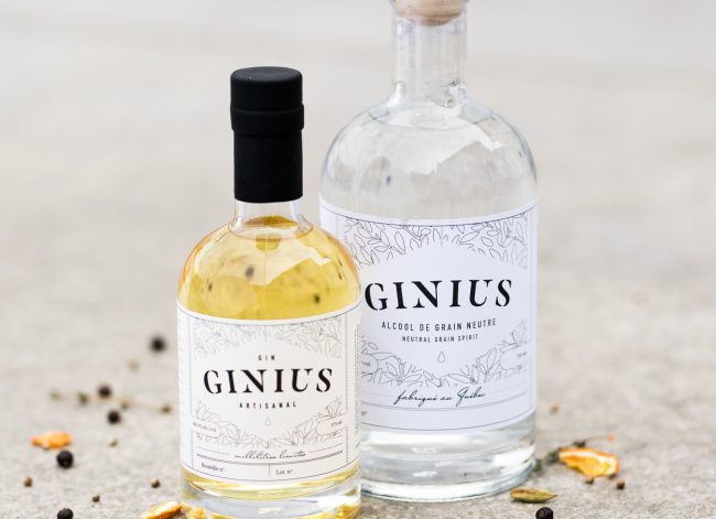 Ginius GinKit