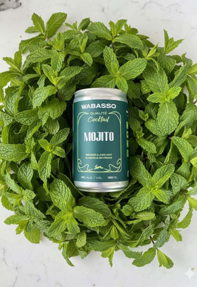 Mojito Qualité Cocktail